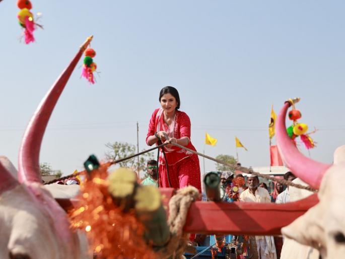 Pooja Birari took part in bullock cart race for the first time on the occasion of 'Yed Lagala Premach' | पूजा बिरारीने 'येड लागलं प्रेमाचं' मालिकेच्या निमित्ताने पहिल्यांदाच घेतला बैलगाडा शर्यतीत भाग Pooja Birari took part in bullock cart race for the first time on the occasion of 'Yed Lagala Premach' | पूजा बिरारीने 'येड लागलं प्रेमाचं' मालिकेच्या निमित्ताने पहिल्यांदाच घेतला बैलगाडा शर्यतीत भाग