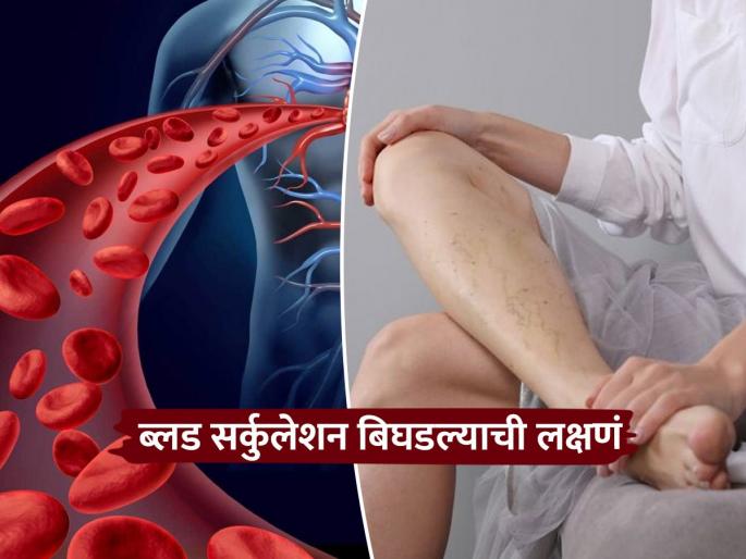These 3 symptoms appear in the legs if blood circulation is poor | ब्लड सर्कुलेशन बिघडलं तर पायांमध्ये दिसतात ही 3 लक्षणं, दिसली तर वेळीच व्हा सावध