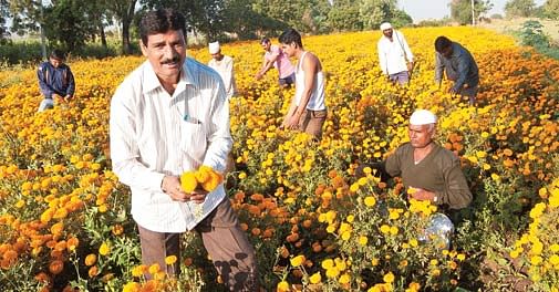 The secret to building an ideal village - study And connect with people! | आदर्श गाव घडवण्याचं गुपित - अभ्यास करा, माणसं जोडा! The secret to building an ideal village - study And connect with people! | आदर्श गाव घडवण्याचं गुपित - अभ्यास करा, माणसं जोडा!