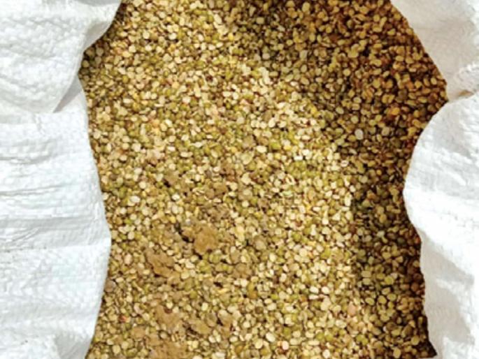 The nutritional deficiencies of the school's nutritional diet; GP Types of schools | शाळांच्या पोषण आहाराचे धान्य निकृष्ट; जि.प. शाळांमधील प्रकार The nutritional deficiencies of the school's nutritional diet; GP Types of schools | शाळांच्या पोषण आहाराचे धान्य निकृष्ट; जि.प. शाळांमधील प्रकार