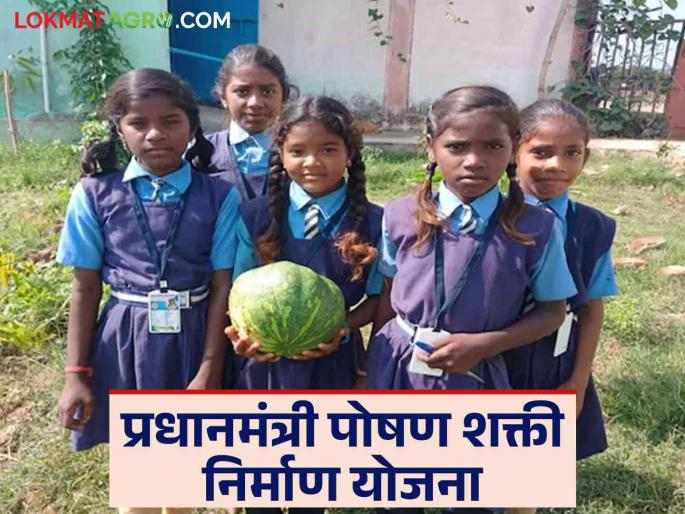 PM Poshan Nirman Yojana : Students will get nutritious, healthy food through the Poshan Shakti Yojana | PM Poshan Nirman Yojana : पोषणशक्ती योजनेतून विद्यार्थ्यांना मिळणार पौष्टिक, सकस आहार