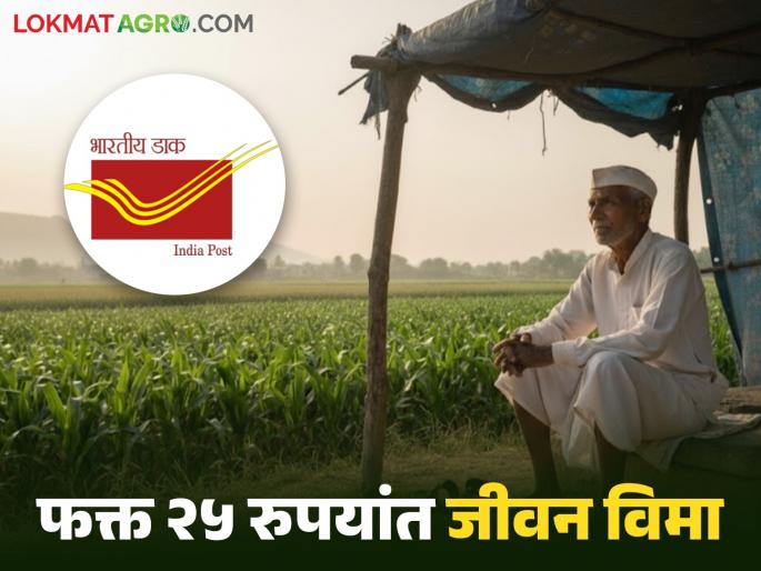 Rural Postal Scheme Lifetime life insurance for just Rs 25 ruppees know about this postal scheme | Rural Postal Scheme : फक्त 25 रुपयांत आयुष्यभराचा जीवन विमा, ही पोस्टाची योजना जाणून घेऊया