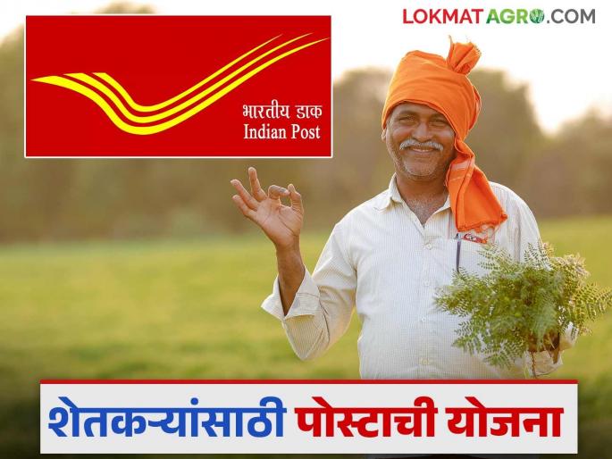 Latest news Post office scheme kisan vikas patra yojana safe investment good interest money double post office scheme update | Post Office Scheme : पोस्ट ऑफिसच्या 'या' योजनेत गुंतवणूक करा, 115 महिन्यांत पैसे दुप्पट! Latest news Post office scheme kisan vikas patra yojana safe investment good interest money double post office scheme update | Post Office Scheme : पोस्ट ऑफिसच्या 'या' योजनेत गुंतवणूक करा, 115 महिन्यांत पैसे दुप्पट!