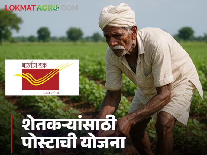 Latest News Kisan vikas Patra Yojana Post Office's scheme to double farmers' investment, read about scheme | Post Office Scheme : पोस्टाची अशी योजना जी तुमची गुंतवणूक दुप्पट करते, जाणून घ्या या योजनेबद्दल