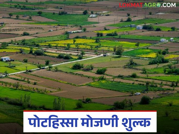 Latest News Shet jamin Mojani How much is charged for calculating land share of same family | एकाच कुटुंबातील जमिनीच्या पोटहिस्सा मोजणीसाठी किती रुपये आकारले जातात?