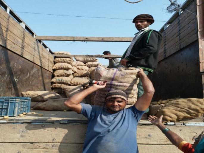 The potato is sold in Aurangabad in Gujarat | औरंगाबादमध्ये गुजरातचा बटाटा विकला जातोय मातीमोल किंमतीत