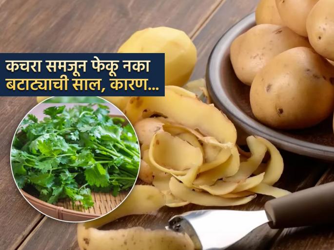 Benefits of eating potato peels, Coriander Stem according to nutritionist | कोथिंबिरीच्या काड्या-बटाट्याची साल फेकणं म्हणजे मोठी चूक, पाहा ‘काय’ उपयोग करायचा..