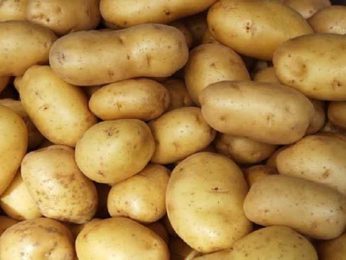  Garlic, potato prices dropped | लसूण, बटाट्याचे दर कडाडले