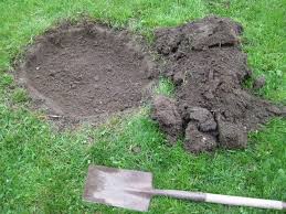 This year 10 thousand potholes 'target' for tree plantation! | यंदाही शाळांना वृक्षारोपणासाठी १० हजार खड्ड्यांचे ‘टार्गेट’!  This year 10 thousand potholes 'target' for tree plantation! | यंदाही शाळांना वृक्षारोपणासाठी १० हजार खड्ड्यांचे ‘टार्गेट’!