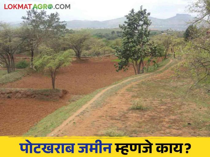 Potkharab Jamin : How to amend potkharab land record? Read in detail | Potkharab Jamin : पोटखराब जमीन नोंद दुरुस्ती कशी करावी? वाचा सविस्तर Potkharab Jamin : How to amend potkharab land record? Read in detail | Potkharab Jamin : पोटखराब जमीन नोंद दुरुस्ती कशी करावी? वाचा सविस्तर