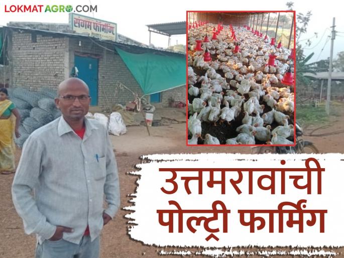 Latest News Profit of nine lakh rupees from poultry farming business by bhandara district farmer read in detail | Poultry Farming : भंडाऱ्याच्या टांगले यांची 'उत्तम' पोल्ट्री फार्मिंग, वर्षाला नऊ लाखांचा नफा, वाचा सविस्तर  Latest News Profit of nine lakh rupees from poultry farming business by bhandara district farmer read in detail | Poultry Farming : भंडाऱ्याच्या टांगले यांची 'उत्तम' पोल्ट्री फार्मिंग, वर्षाला नऊ लाखांचा नफा, वाचा सविस्तर