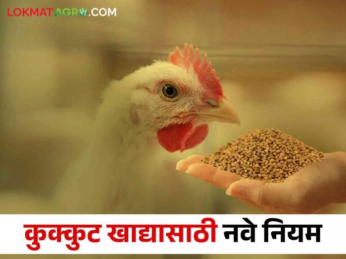 These guidelines are meant to provide quality poultry feed in the poultry industry | कुक्कुटपालन व्यवसायात गुणवत्तापूर्ण कुक्कुटखाद्य उपलब्ध होण्यासाठी आल्या ह्या मार्गदर्शक सूचना These guidelines are meant to provide quality poultry feed in the poultry industry | कुक्कुटपालन व्यवसायात गुणवत्तापूर्ण कुक्कुटखाद्य उपलब्ध होण्यासाठी आल्या ह्या मार्गदर्शक सूचना