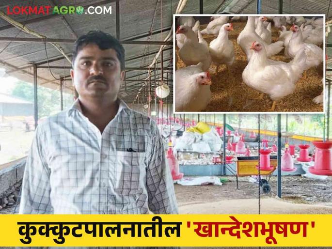Poultry Success Story : Khandeshbhushan in Poultry Farming; Annual turnover of lakhs using 'this' method in poultry farming | Poultry Success Story : कुक्कुटपालनातील खान्देशभूषण; कोंबडी पालनात 'या' पद्धतीचा वापर करत वार्षिक लाखोंची उलाढाल Poultry Success Story : Khandeshbhushan in Poultry Farming; Annual turnover of lakhs using 'this' method in poultry farming | Poultry Success Story : कुक्कुटपालनातील खान्देशभूषण; कोंबडी पालनात 'या' पद्धतीचा वापर करत वार्षिक लाखोंची उलाढाल