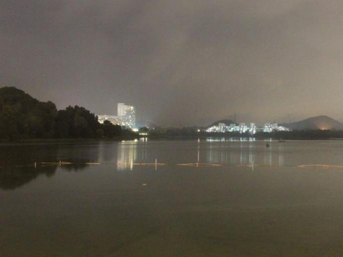 Firemen went missing for the 'Birthday', Firemen were scared by the criminals, search by mobile in mobile light | ‘बर्थडे’साठी गेले अन् गायब झाले, अग्निशमन दल मगरींना घाबरले, मोबाइलच्या प्रकाशात मुलाकडून शोध Firemen went missing for the 'Birthday', Firemen were scared by the criminals, search by mobile in mobile light | ‘बर्थडे’साठी गेले अन् गायब झाले, अग्निशमन दल मगरींना घाबरले, मोबाइलच्या प्रकाशात मुलाकडून शोध