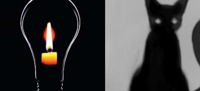 Cats 'Shock', Electricity Turns 'Stop': Mahavitaran Workers Run | मांजरीला ‘शॉक’, वीज झाली ‘स्टॉप’ : महावितरण कर्मचाऱ्यांची धावाधाव Cats 'Shock', Electricity Turns 'Stop': Mahavitaran Workers Run | मांजरीला ‘शॉक’, वीज झाली ‘स्टॉप’ : महावितरण कर्मचाऱ्यांची धावाधाव