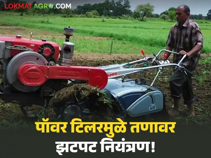 latest news Power Tiller: A new helping hand for farmers; Instant control of stress due to power tiller! | Power Tiller : शेतकऱ्यांचा नवा मदतीचा हात; पॉवर टिलरमुळे तणावर झटपट नियंत्रण! latest news Power Tiller: A new helping hand for farmers; Instant control of stress due to power tiller! | Power Tiller : शेतकऱ्यांचा नवा मदतीचा हात; पॉवर टिलरमुळे तणावर झटपट नियंत्रण!