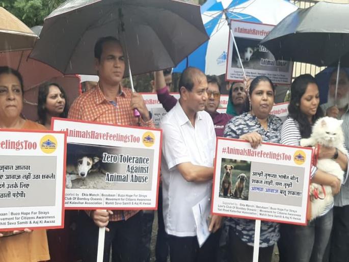 Tighten the law on animal cruelty; Hundreds of animal lovers protest for demand | प्राण्यांविषयी क्रूरता प्रतिबंधक कायदा अधिक कठोर करा; मागणीसाठी शेकडो प्राणीप्रेमींचं आंदोलन Tighten the law on animal cruelty; Hundreds of animal lovers protest for demand | प्राण्यांविषयी क्रूरता प्रतिबंधक कायदा अधिक कठोर करा; मागणीसाठी शेकडो प्राणीप्रेमींचं आंदोलन