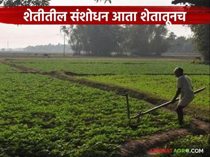 latest news Agriculture News: Experimental farmers can now get the title of 'Agricultural Researcher' Read in detail | Agriculture News : प्रयोगशील शेतकऱ्यांना आता 'कृषी संशोधक' पदवी वाचा सविस्तर latest news Agriculture News: Experimental farmers can now get the title of 'Agricultural Researcher' Read in detail | Agriculture News : प्रयोगशील शेतकऱ्यांना आता 'कृषी संशोधक' पदवी वाचा सविस्तर