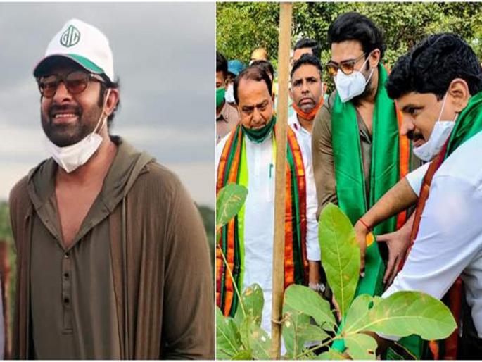 Prabhas has come forward to adopt 1,650 acres of reserve forest on the outskirts of Hyderabad | ‘बाहुबली’चा कौतुकास्पद उपक्रम ! सुपरस्टार प्रभासने दत्तक घेतले जंगल, दिली 2 कोटींची मदत Prabhas has come forward to adopt 1,650 acres of reserve forest on the outskirts of Hyderabad | ‘बाहुबली’चा कौतुकास्पद उपक्रम ! सुपरस्टार प्रभासने दत्तक घेतले जंगल, दिली 2 कोटींची मदत