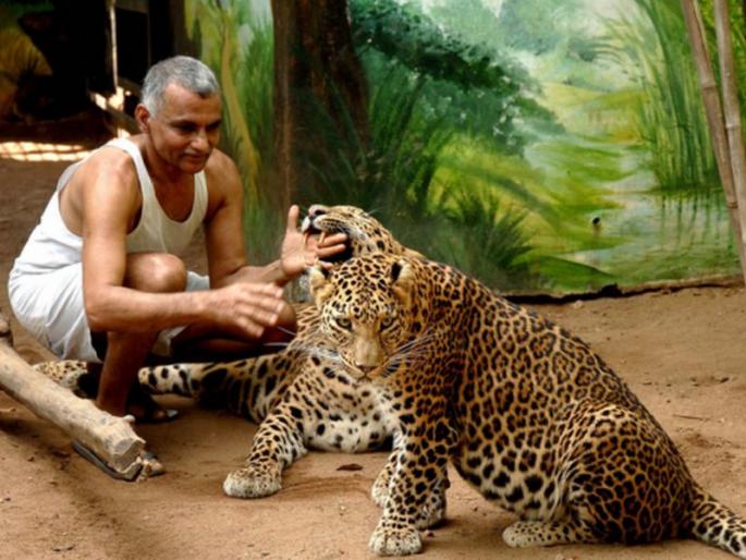 Two feet of animals awakened on the life of 'Avni' are dangerous - Prakash Amte | ‘अवनी’च्या जीवावर उठलेला दोन पायांचा प्राणीच धोकादायक- प्रकाश आमटे