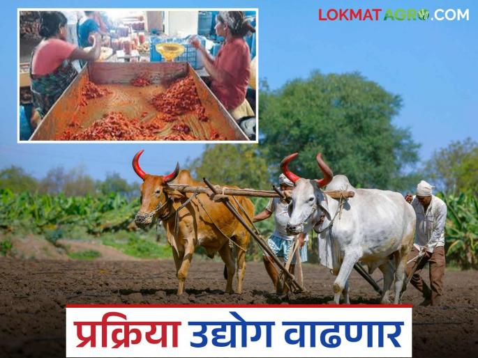 Agriculture based industries: Good news for farmers in Akola district; Agriculture based industries will get booster doses Read in detail | Agriculture based industries: अकोला जिल्ह्यातील शेतकऱ्यांसाठी खुशखबर; शेती आधारित उद्योगाला मिळणार बुस्टरडोस वाचा सविस्तर Agriculture based industries: Good news for farmers in Akola district; Agriculture based industries will get booster doses Read in detail | Agriculture based industries: अकोला जिल्ह्यातील शेतकऱ्यांसाठी खुशखबर; शेती आधारित उद्योगाला मिळणार बुस्टरडोस वाचा सविस्तर
