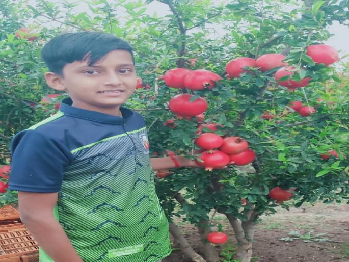 Pranav Shankar Suryavanshi secured 48 percent in 10th with an income of Rs.5 crore from agriculture | डाळिंबाच्या बागेत गिरवले धडे, शेतीतून पाऊण कोटीचे उत्पन्न घेत प्रणवची दहावीत ४८ टक्क्यांची कमाई Pranav Shankar Suryavanshi secured 48 percent in 10th with an income of Rs.5 crore from agriculture | डाळिंबाच्या बागेत गिरवले धडे, शेतीतून पाऊण कोटीचे उत्पन्न घेत प्रणवची दहावीत ४८ टक्क्यांची कमाई