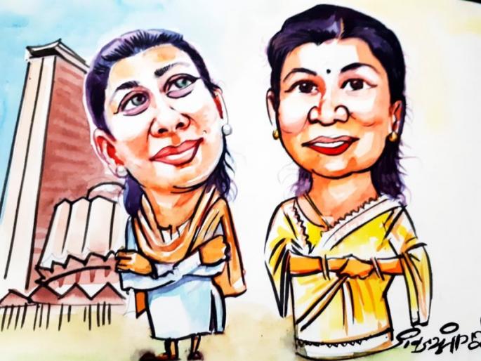 political views of solapur loksabha, praniti shinde | 'लगाव बत्ती' - ये तेरा घर... ये मेरा घर...