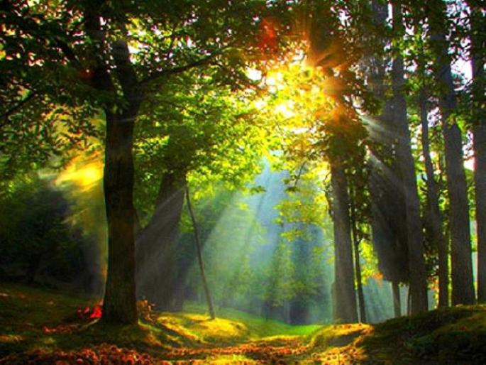 If you want to start the day happily, remember 'This' in the morning! | दिवसाची प्रसन्न सुरुवात करायची असेल, तर 'असे' प्रात:स्मरण करावे! If you want to start the day happily, remember 'This' in the morning! | दिवसाची प्रसन्न सुरुवात करायची असेल, तर 'असे' प्रात:स्मरण करावे!