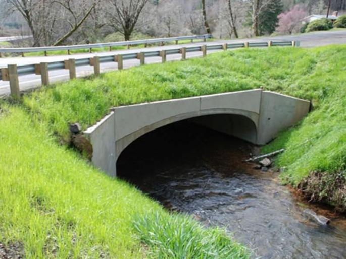 The country's first pre-cast arc bridge in Gorewada, Nagpur | देशातला पहिला ‘प्री-कास्ट’ आर्क ब्रिज नागपूरच्या गोरेवाड्यात The country's first pre-cast arc bridge in Gorewada, Nagpur | देशातला पहिला ‘प्री-कास्ट’ आर्क ब्रिज नागपूरच्या गोरेवाड्यात