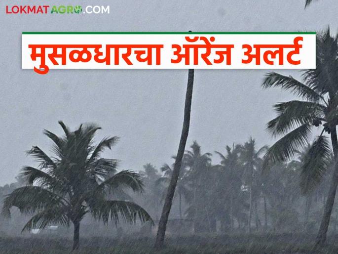 Signs of early arrival of monsoon, heavy rains expected in these places in the state for the next week | मान्सून लवकर येण्याचे संकेत, पुढील आठवडाभर राज्यात या ठिकाणी मुसळधार पावसाचा अंदाज