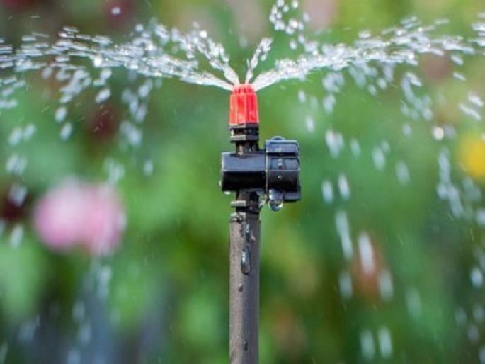 14 crores grant for sprinkalar irrigation for Hingoli district | हिंगोली जिल्ह्याला तुषारचे १४ कोटी अनुदान  14 crores grant for sprinkalar irrigation for Hingoli district | हिंगोली जिल्ह्याला तुषारचे १४ कोटी अनुदान