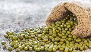 The price of the mug fell in Akola market, but the prices of flowers raised | अकोल्याच्या बाजारपेठेत मुगाचे दर कोसळले, पण फुलांचे दर गगनाला भिडले!  The price of the mug fell in Akola market, but the prices of flowers raised | अकोल्याच्या बाजारपेठेत मुगाचे दर कोसळले, पण फुलांचे दर गगनाला भिडले!