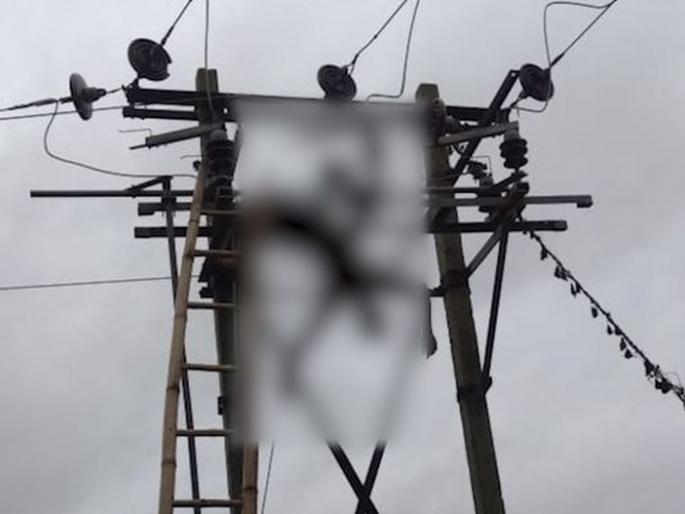 Private lineman dies of electric shock while working on transfarmer | रोहित्रावर काम करताना विजेच्या धक्क्याने खासगी लाइनमनचा मृत्यू! Private lineman dies of electric shock while working on transfarmer | रोहित्रावर काम करताना विजेच्या धक्क्याने खासगी लाइनमनचा मृत्यू!