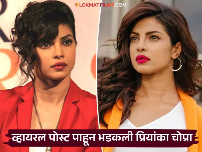 priyanka chopra clarification on viral statement dont look for virgin wife said its not me | "लग्नासाठी मुलीची व्हर्जिनिटी पाहू नका तर...", 'त्या' वक्तव्यावर प्रियांका चोप्राचं स्पष्टीकरण, म्हणाली... priyanka chopra clarification on viral statement dont look for virgin wife said its not me | "लग्नासाठी मुलीची व्हर्जिनिटी पाहू नका तर...", 'त्या' वक्तव्यावर प्रियांका चोप्राचं स्पष्टीकरण, म्हणाली...