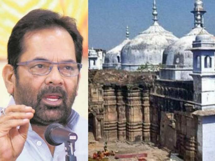 Gyanvapi Masjid Survey: Aurangzeb's sectarian brutality cannot be ignored; Mukhtar Abbas Naqvi's reaction to the Gyanvapi survey controversy | Gyanvapi Masjid Survey : औरंगजेबाच्या सांप्रदायिक क्रूरतेकडे दुर्लक्ष करता येणार नाही; ज्ञानवापी सर्व्हे वादावर मुख्तार अब्बास नक्वींची प्रतिक्रिया Gyanvapi Masjid Survey: Aurangzeb's sectarian brutality cannot be ignored; Mukhtar Abbas Naqvi's reaction to the Gyanvapi survey controversy | Gyanvapi Masjid Survey : औरंगजेबाच्या सांप्रदायिक क्रूरतेकडे दुर्लक्ष करता येणार नाही; ज्ञानवापी सर्व्हे वादावर मुख्तार अब्बास नक्वींची प्रतिक्रिया