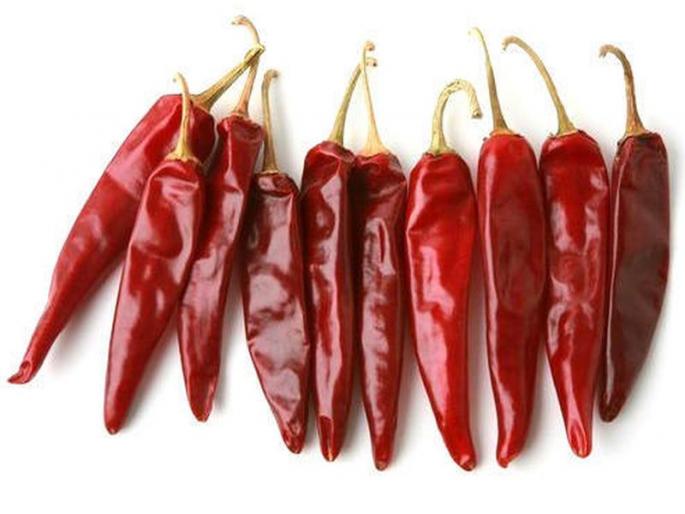 Production of chilly | विषमुक्त नैसर्गिक मिरचीचे उत्पादन Production of chilly | विषमुक्त नैसर्गिक मिरचीचे उत्पादन