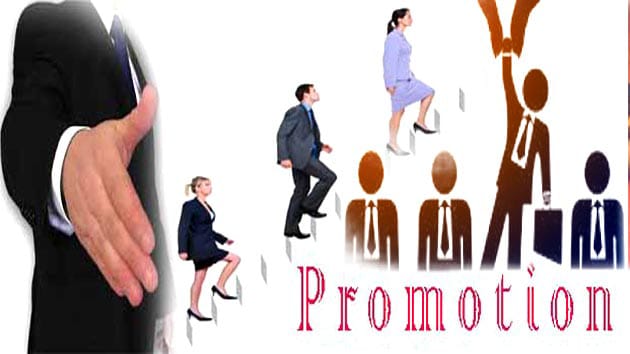 Promotional process for clerical classes stopped | लिपिकवर्गीय संवर्गातील पदोन्नती प्रक्रिया रखडली Promotional process for clerical classes stopped | लिपिकवर्गीय संवर्गातील पदोन्नती प्रक्रिया रखडली