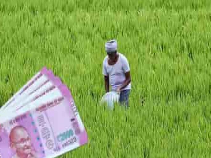 83.89 crore rupees of incentive subsidy has been deposited in the account of farmers in Kolhapur district | कोल्हापूर जिल्ह्यात ‘प्रोत्साहन’चे ८३.८९ कोटी रुपये शेतकऱ्यांच्या खात्यावर जमा, अद्याप 'इतके' प्रतीक्षेत 83.89 crore rupees of incentive subsidy has been deposited in the account of farmers in Kolhapur district | कोल्हापूर जिल्ह्यात ‘प्रोत्साहन’चे ८३.८९ कोटी रुपये शेतकऱ्यांच्या खात्यावर जमा, अद्याप 'इतके' प्रतीक्षेत