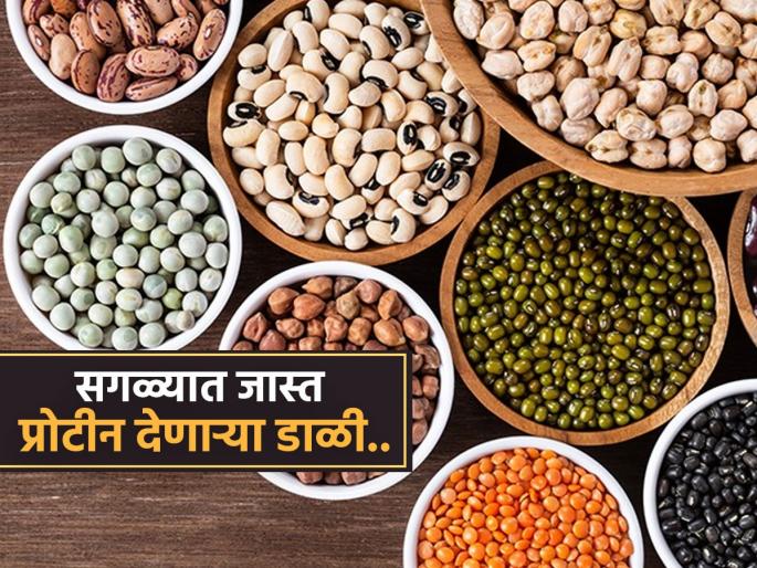 5 Dals With Highest Protein Content | 'या' डाळींमधून मिळतं सगळ्यात जास्त प्रोटीन, महागड्या प्रोटीनच्या मागे लागूच नका! पचणारं प्रोटीन तब्येतीसाठी