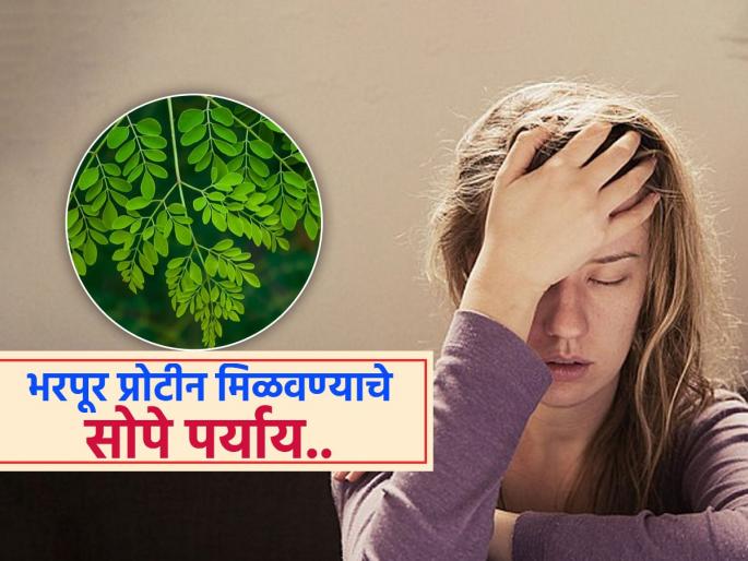 Protein is important to eliminate fatigue and weakness, these options are best for vegetarians | थकवा, कमजोरी दूर करण्यासाठी महत्वाचं ठरतं प्रोटीन, शाकाहारी लोकांसाठी बेस्ट ठरतात 'हे' पर्याय...