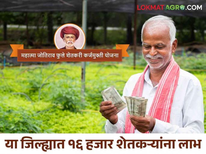 Only those farmers who are eligible for the incentive benefit will get the loan waiver scheme money if they do this | प्रोत्साहनपर लाभासाठी पात्र ठरलेल्या शेतकऱ्यांनी हे करा तरच मिळणार कर्जमुक्ती योजनेचे पैसे Only those farmers who are eligible for the incentive benefit will get the loan waiver scheme money if they do this | प्रोत्साहनपर लाभासाठी पात्र ठरलेल्या शेतकऱ्यांनी हे करा तरच मिळणार कर्जमुक्ती योजनेचे पैसे