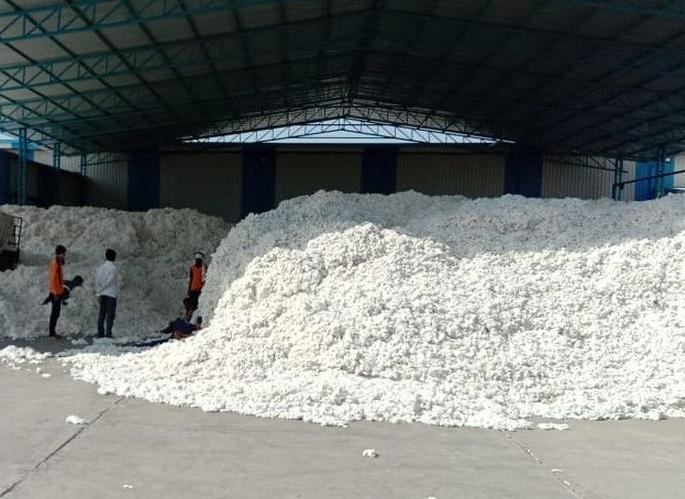 No charges to farmers at cotton purchasing centers! | कापूस खरेदी केंद्रांवर शेतकऱ्यांना शुल्क नाही! No charges to farmers at cotton purchasing centers! | कापूस खरेदी केंद्रांवर शेतकऱ्यांना शुल्क नाही!