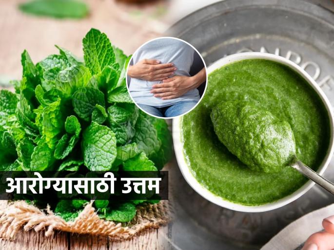 mint leaves are beneficial for health, mint is a must in the diet, health tips | पुदिन्याची दोन पाने चघळणे ठरते आरोग्यासाठी उपयुक्त, आहारात पुदिना हवाच कारण...