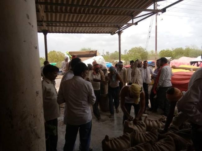 Pulses Purchase Center to be started this year soon | तूर खरेदी केंद्र यावर्षी लवकर सुरू होणार; फेडरेशनच्यावतीने नियोजनास सुरुवात Pulses Purchase Center to be started this year soon | तूर खरेदी केंद्र यावर्षी लवकर सुरू होणार; फेडरेशनच्यावतीने नियोजनास सुरुवात