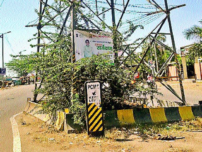 Blinds of cleanliness | झुडपांत ‘स्वच्छ’चे फलक , सुशोभीकरणाबाबत उदासीनता Blinds of cleanliness | झुडपांत ‘स्वच्छ’चे फलक , सुशोभीकरणाबाबत उदासीनता