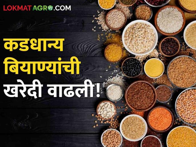 Latest news Purchase of pulse seeds increased in Jalgaon district Know in detail  | Pulse Seed : जळगाव जिल्ह्यात कडधान्य बियाण्यांची खरेदी का वाढली? जाणून घ्या सविस्तर  Latest news Purchase of pulse seeds increased in Jalgaon district Know in detail  | Pulse Seed : जळगाव जिल्ह्यात कडधान्य बियाण्यांची खरेदी का वाढली? जाणून घ्या सविस्तर