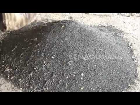 Three quintals of arhar pulses can be sold to Nafed | नाफेडकडे विकता येणार हेक्टरी तीन क्विंटल उडिद Three quintals of arhar pulses can be sold to Nafed | नाफेडकडे विकता येणार हेक्टरी तीन क्विंटल उडिद