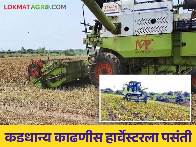 The harvesting of mung beans and udid is done with the help of the harvester machine | हार्वेस्टर मशीनची किमया न्यारी मुग उडदाची काढणी होतेय भारी The harvesting of mung beans and udid is done with the help of the harvester machine | हार्वेस्टर मशीनची किमया न्यारी मुग उडदाची काढणी होतेय भारी
