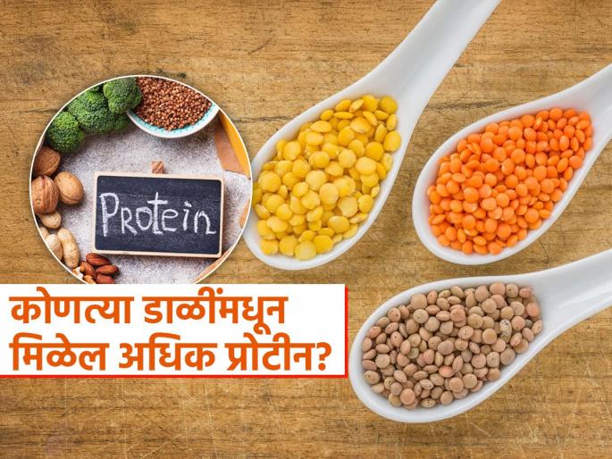 Which lentil or pulses has the more protein | मूग-मसुर की तूर-कोणत्या डाळीतून मिळतं जास्त प्रोटीन? शाकाहारी लोकांच्या आहारात रोज हवी ‘ही’ डाळ