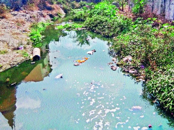 Due to the sewage of IT city, the drainage of the riverbank and the danger of the existence of the dam | आयटी नगरीतील सांडपाण्याने माणच्या ओढ्याची गटारगंगा, ओढ्याचे अस्तित्व धोक्यात Due to the sewage of IT city, the drainage of the riverbank and the danger of the existence of the dam | आयटी नगरीतील सांडपाण्याने माणच्या ओढ्याची गटारगंगा, ओढ्याचे अस्तित्व धोक्यात